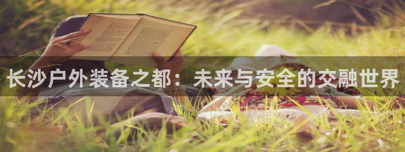 利记 利记官网