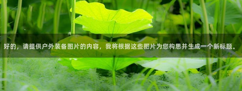 利记官网开户