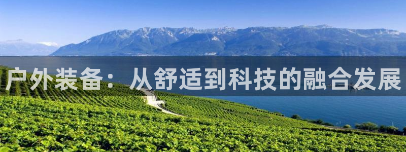利记官网电脑版
