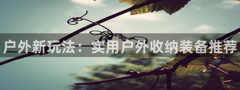 利记官网app
