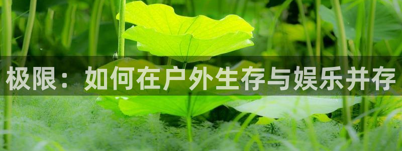 利记官网官方网址