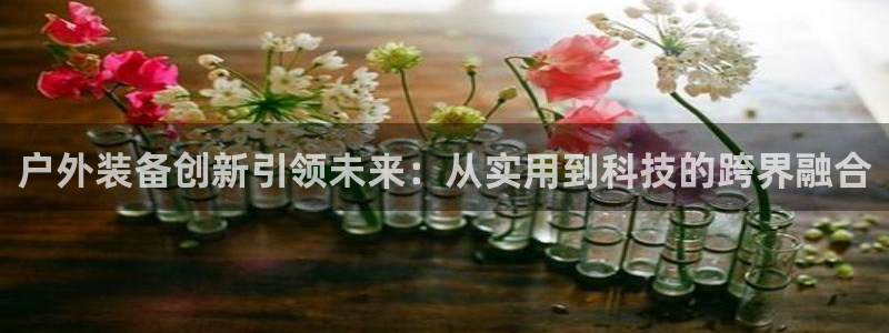 利记官网a