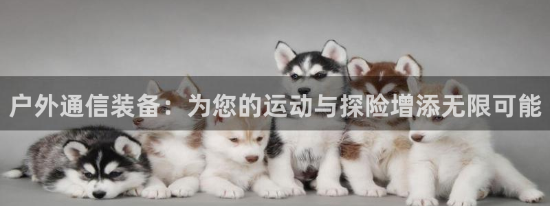 利记官网地址