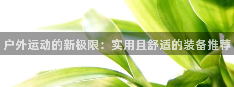 利记官网平台