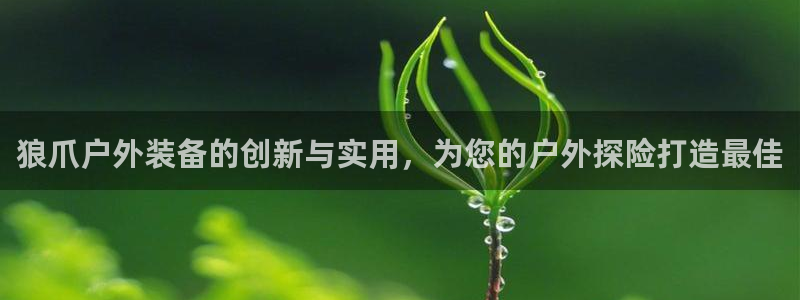 利记官网app下载网址日博官网网址