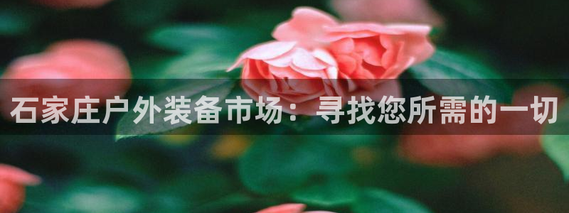 利记官网官方网址