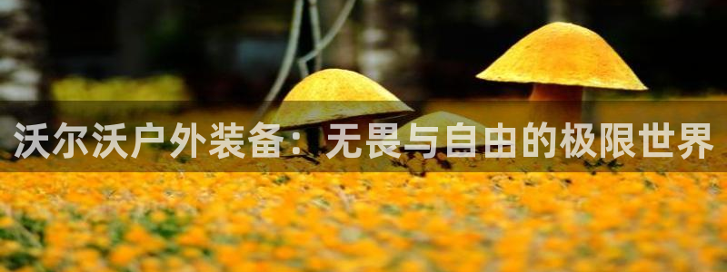 sbobet利记官网登录入口