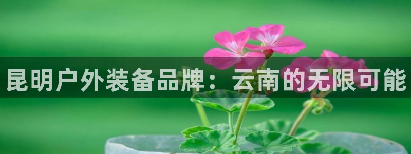 利记官网是什么