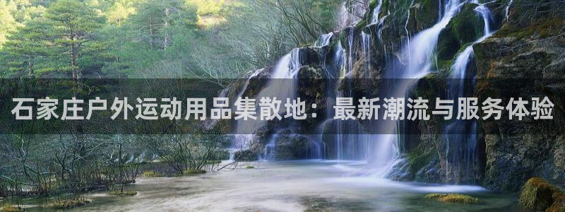 林利记官网