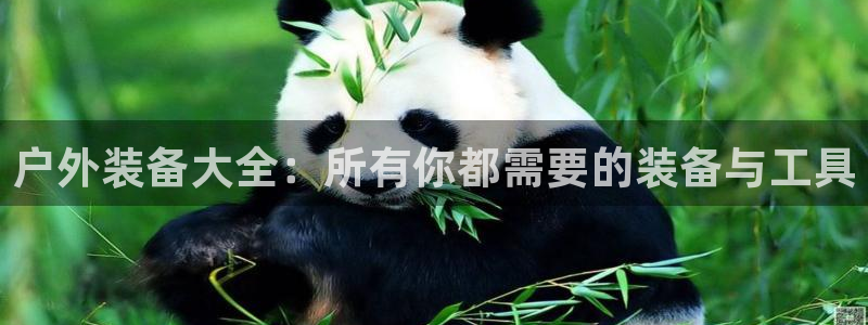 利记bet官网登录入口