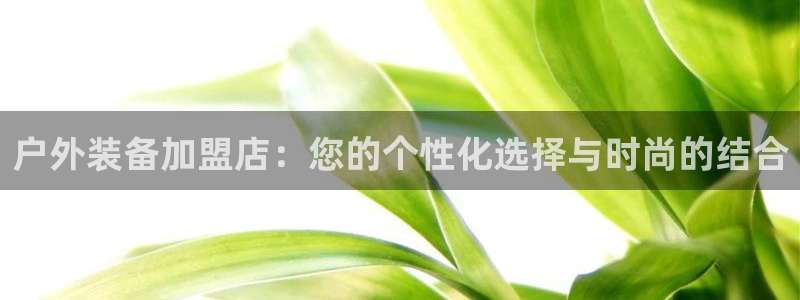 利记网官网网址