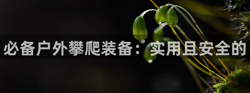 利记网址注册官网