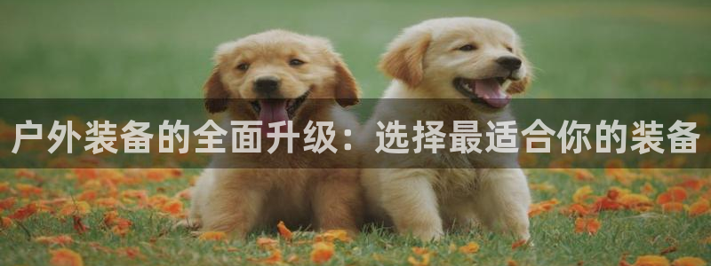 利记官网日亚运比