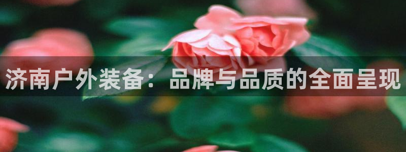 sbotop利记官网