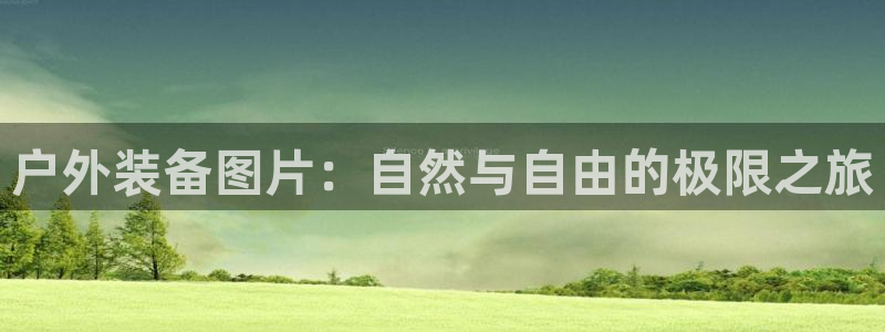 利记手机官网入口