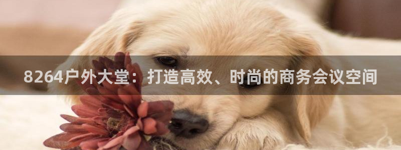 利记官网app下载网址日博官网网址