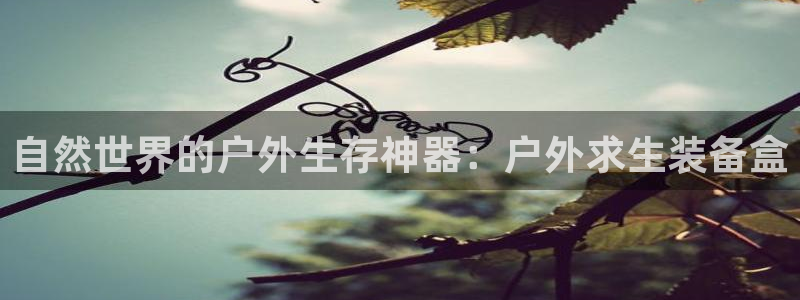 利记官网入口最新版