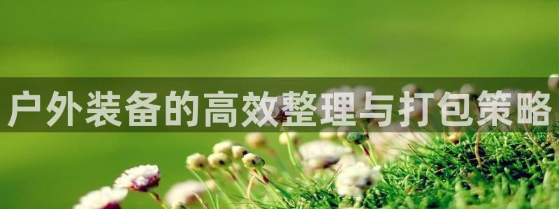 利记平台官网