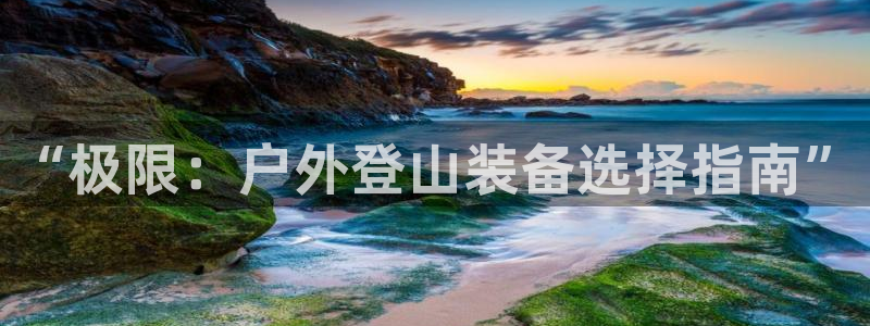 利记app官网入口