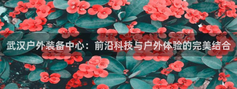利记官网平台入口