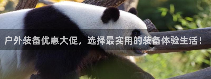 利记官网入口最新版