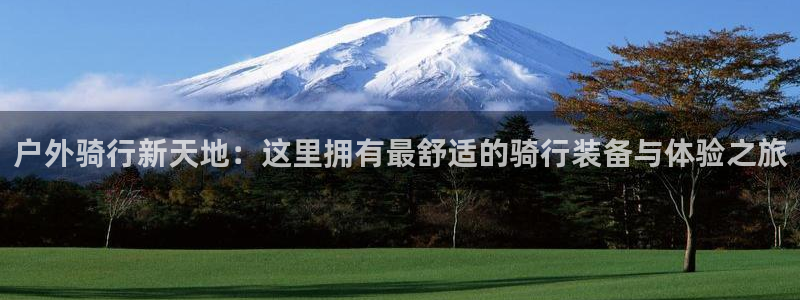 利记app官网