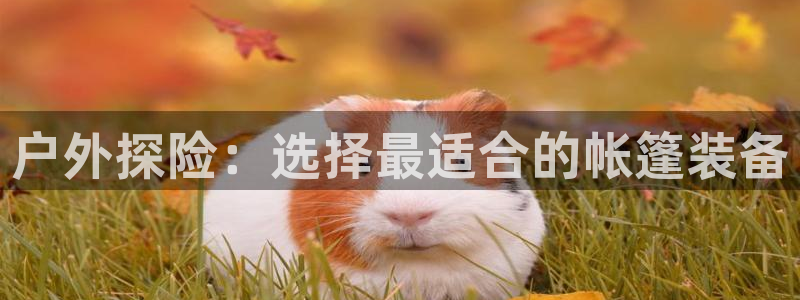 利记官网备用网址