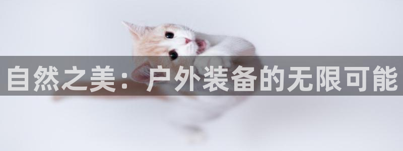 利记现场官网