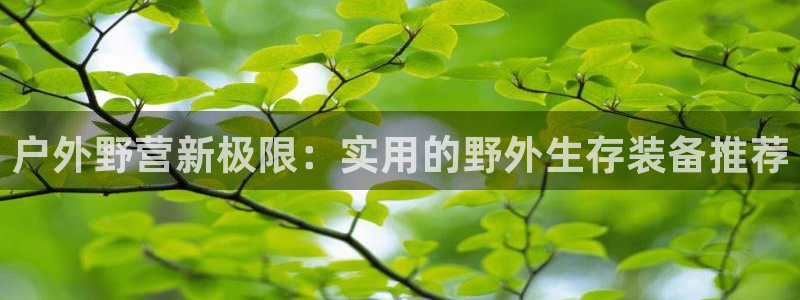 利记投注平台官网