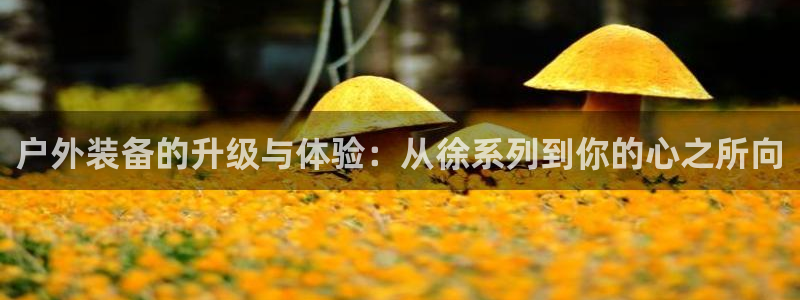 利记官网是什么