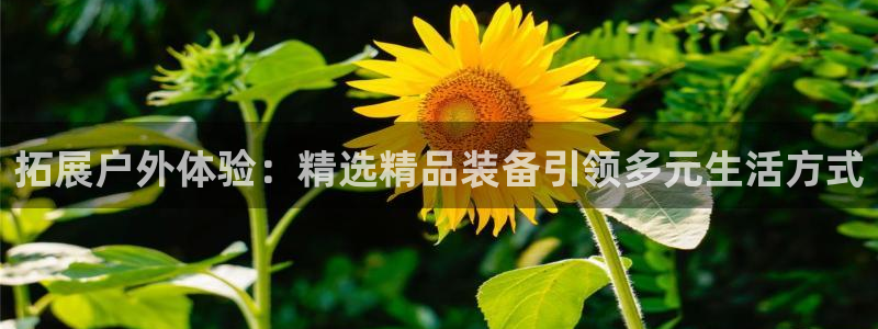 利记手机官网入口
