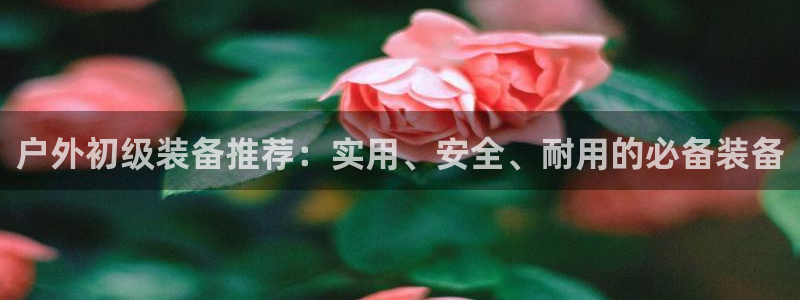 利记正式官网