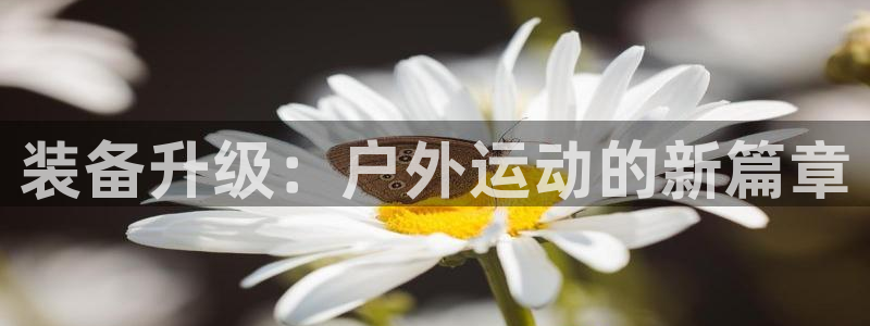 香港利记集团官网招聘