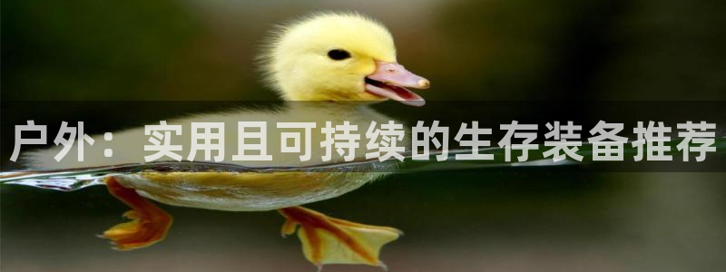 利记官网葡京投注网址