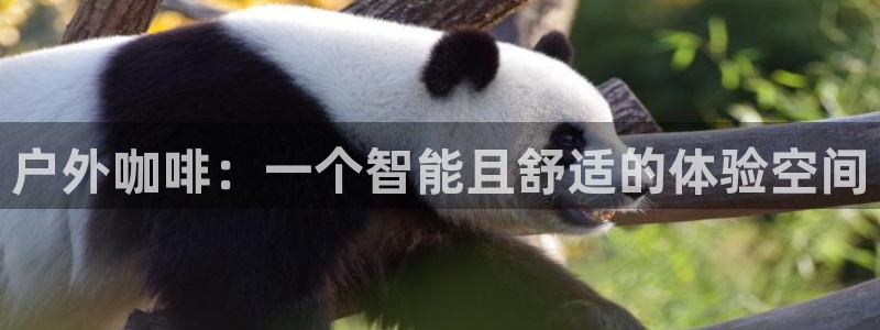 利记体育在线官网