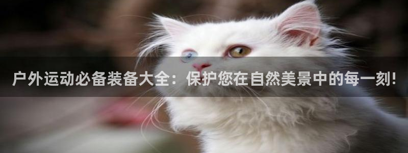 利记博彩官网