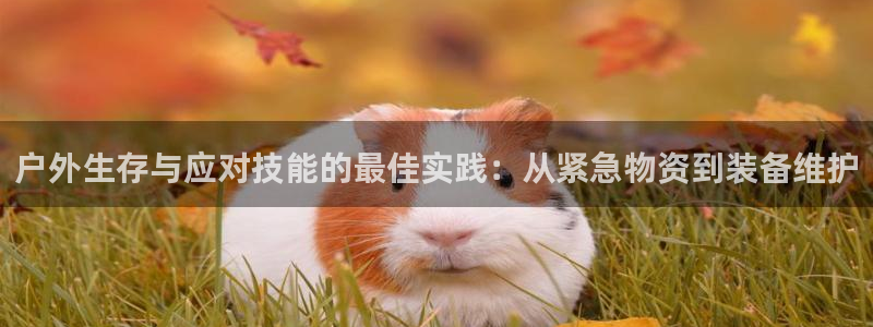 利记真的官网