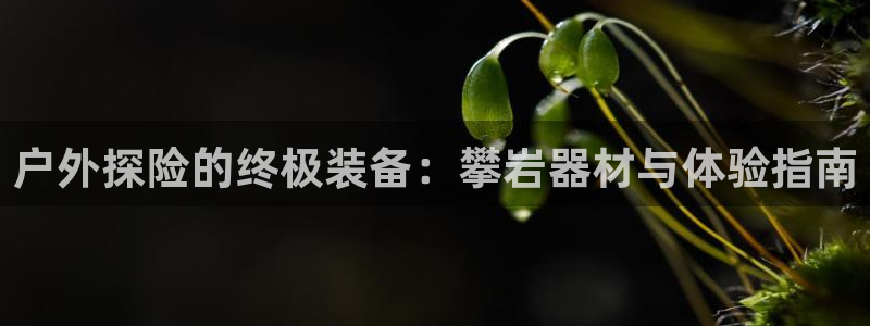 利记娱乐会员金钻官网