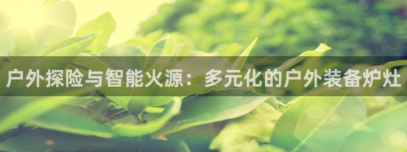 利记彩票平台官网