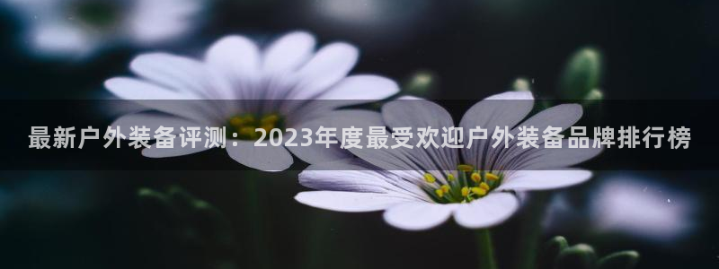 林利记官网