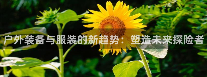 利记游戏官网