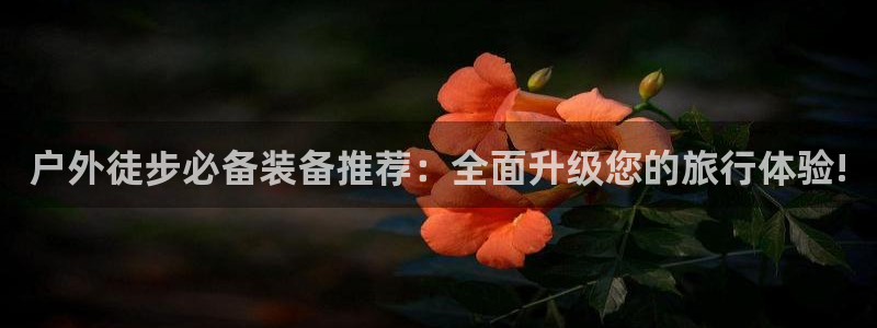 香港利记集团官网招聘