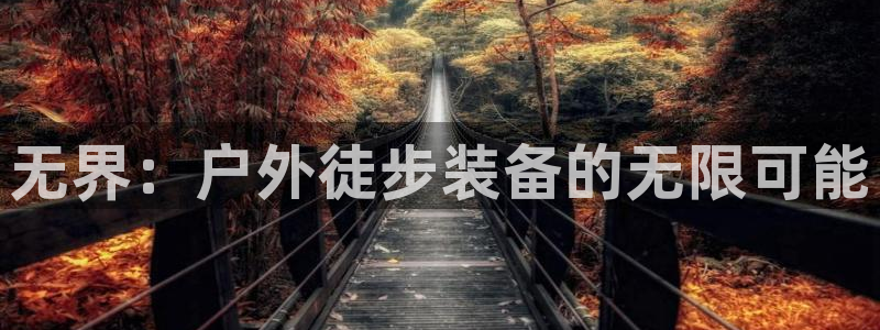 利记彩票官网hd71