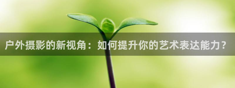 利记游戏官网
