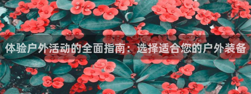 香港利记集团官网地址