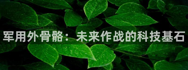 利记官网入口