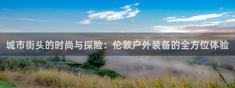 利记官网a