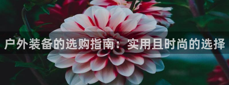 利记app官网入口