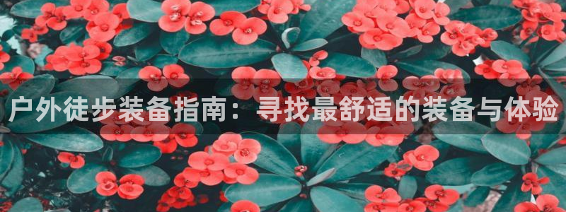 大利来记官网