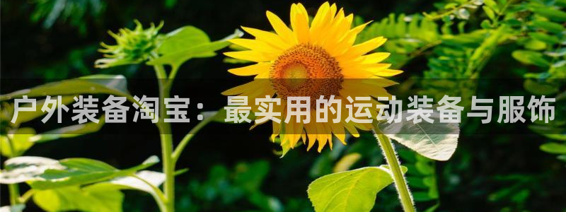 利记的官网